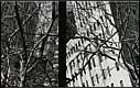 New York - wk. no. 28/04